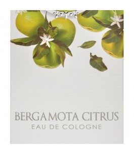 Bergamota CItrus