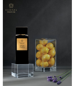 ESSENZA CITRUS OMBRA